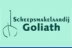 Goliath Scheepsmakelaardij 